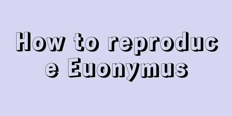 How to reproduce Euonymus