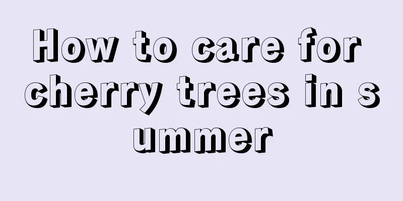 How to care for cherry trees in summer