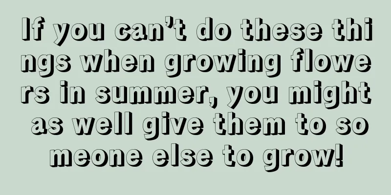 If you can’t do these things when growing flowers in summer, you might as well give them to someone else to grow!