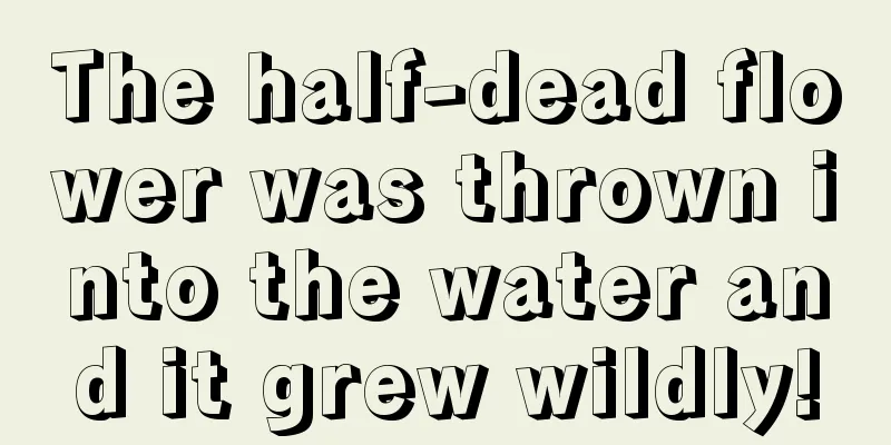 The half-dead flower was thrown into the water and it grew wildly!