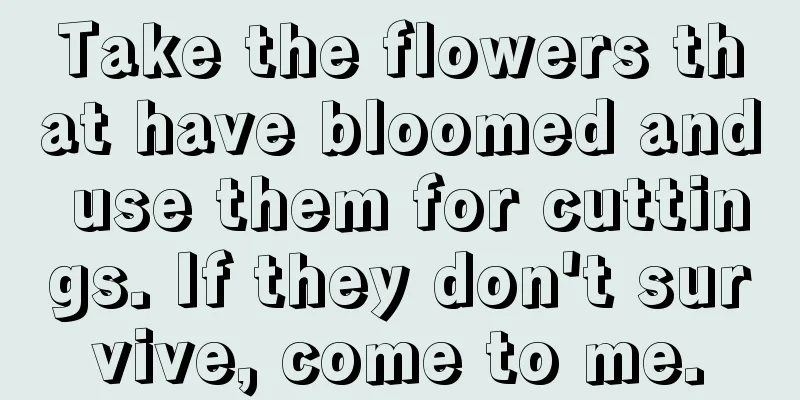 Take the flowers that have bloomed and use them for cuttings. If they don't survive, come to me.