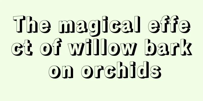 The magical effect of willow bark on orchids