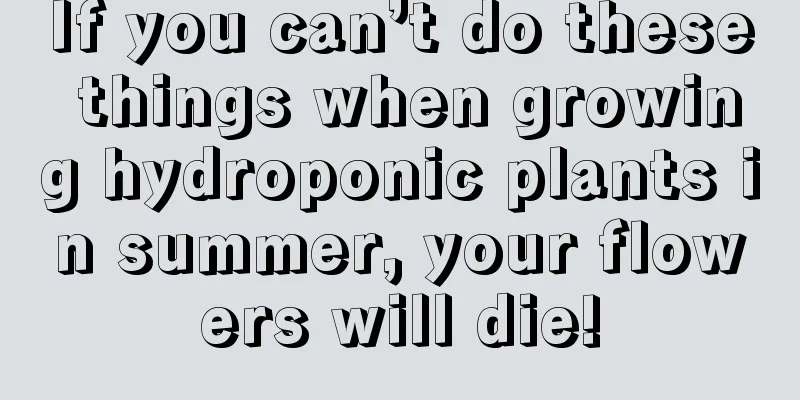 If you can’t do these things when growing hydroponic plants in summer, your flowers will die!