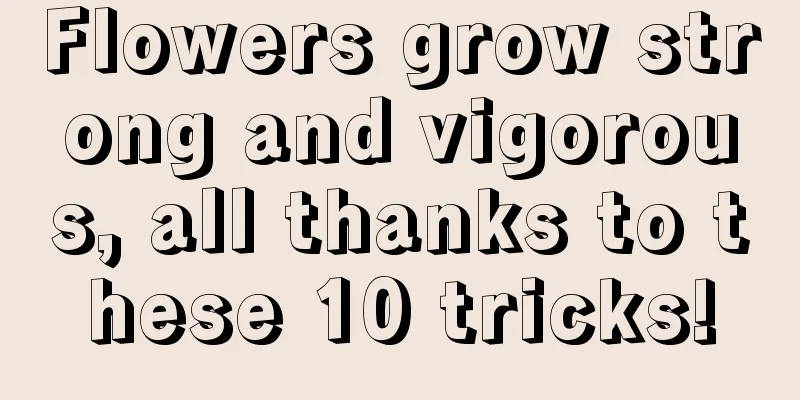 Flowers grow strong and vigorous, all thanks to these 10 tricks!