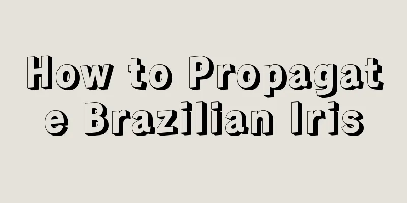 How to Propagate Brazilian Iris