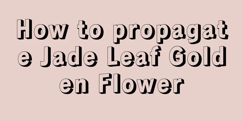 How to propagate Jade Leaf Golden Flower