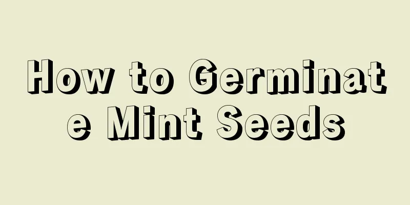 How to Germinate Mint Seeds