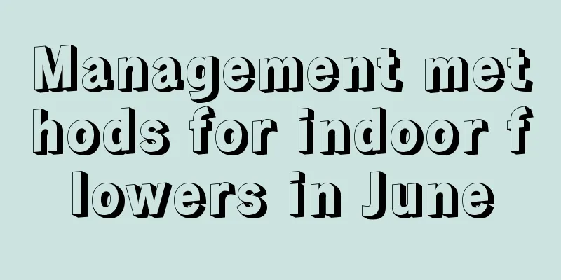 Management methods for indoor flowers in June