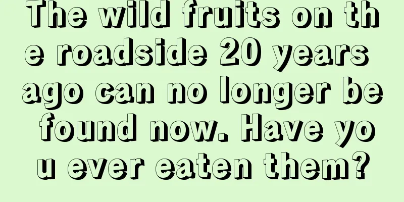 The wild fruits on the roadside 20 years ago can no longer be found now. Have you ever eaten them?