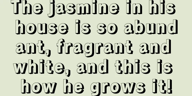 The jasmine in his house is so abundant, fragrant and white, and this is how he grows it!