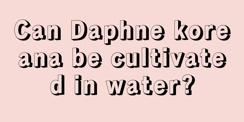 Can Daphne koreana be cultivated in water?