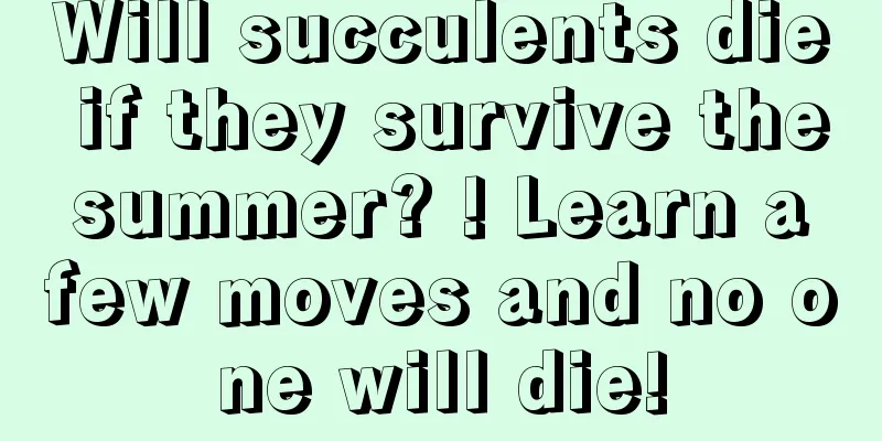 Will succulents die if they survive the summer? ! Learn a few moves and no one will die!