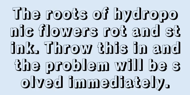 The roots of hydroponic flowers rot and stink. Throw this in and the problem will be solved immediately.