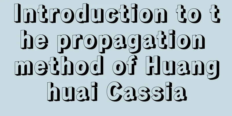 Introduction to the propagation method of Huanghuai Cassia