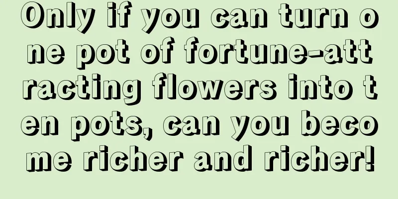 Only if you can turn one pot of fortune-attracting flowers into ten pots, can you become richer and richer!