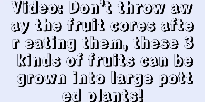 Video: Don’t throw away the fruit cores after eating them, these 3 kinds of fruits can be grown into large potted plants!