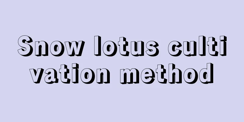 Snow lotus cultivation method