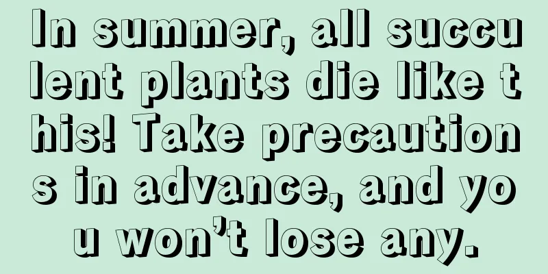 In summer, all succulent plants die like this! Take precautions in advance, and you won’t lose any.