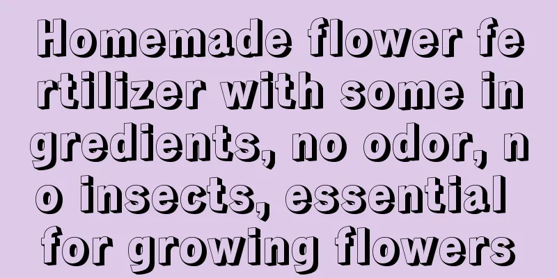 Homemade flower fertilizer with some ingredients, no odor, no insects, essential for growing flowers