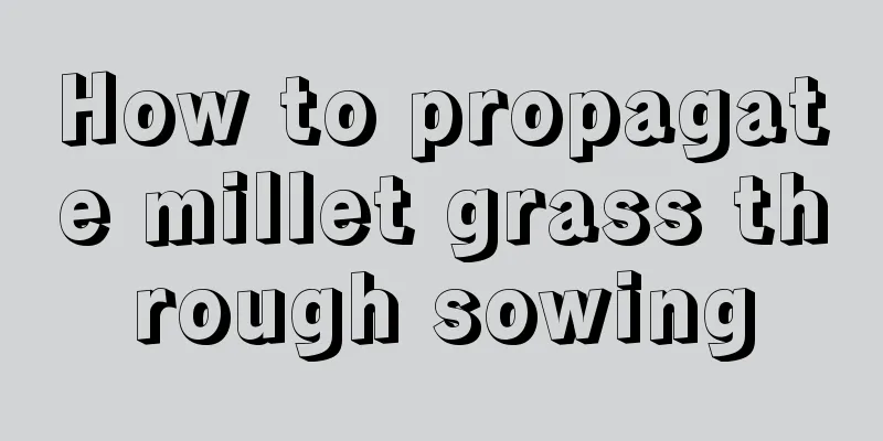 How to propagate millet grass through sowing