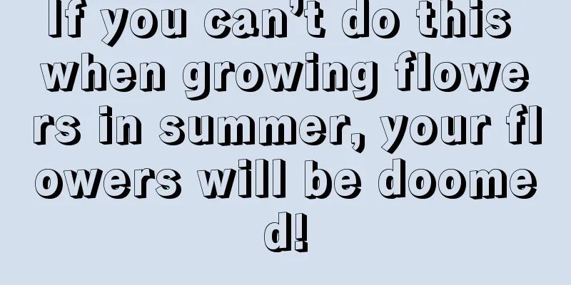 If you can’t do this when growing flowers in summer, your flowers will be doomed!