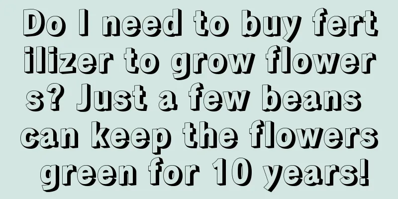 Do I need to buy fertilizer to grow flowers? Just a few beans can keep the flowers green for 10 years!