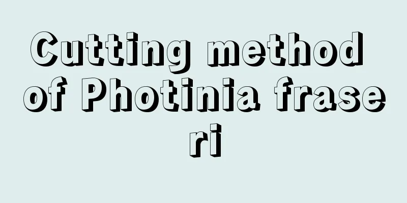 Cutting method of Photinia fraseri