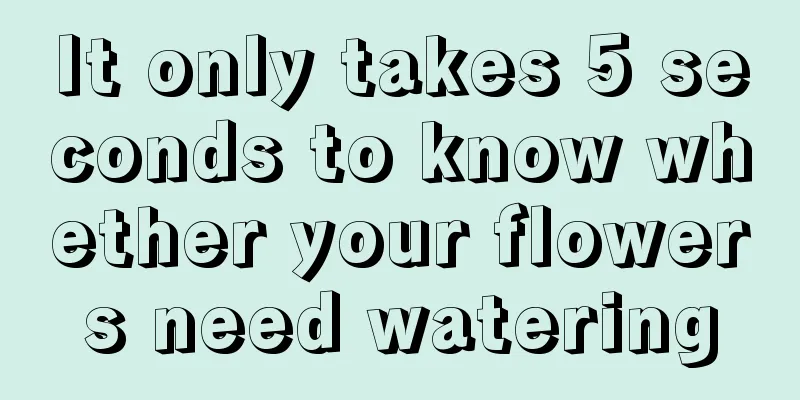 It only takes 5 seconds to know whether your flowers need watering