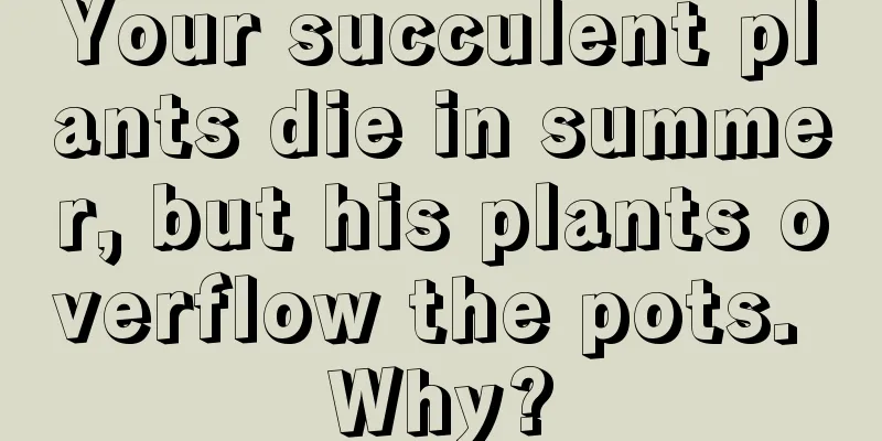 Your succulent plants die in summer, but his plants overflow the pots. Why?