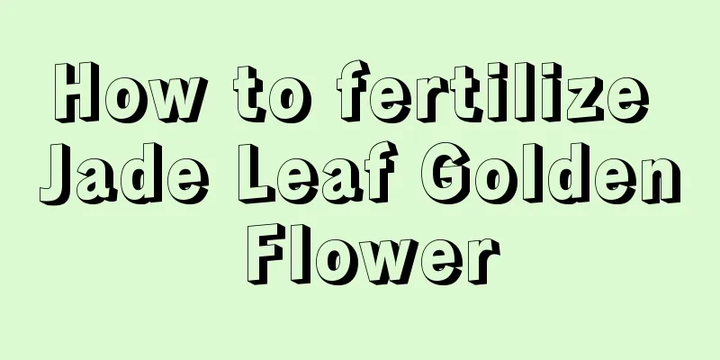 How to fertilize Jade Leaf Golden Flower