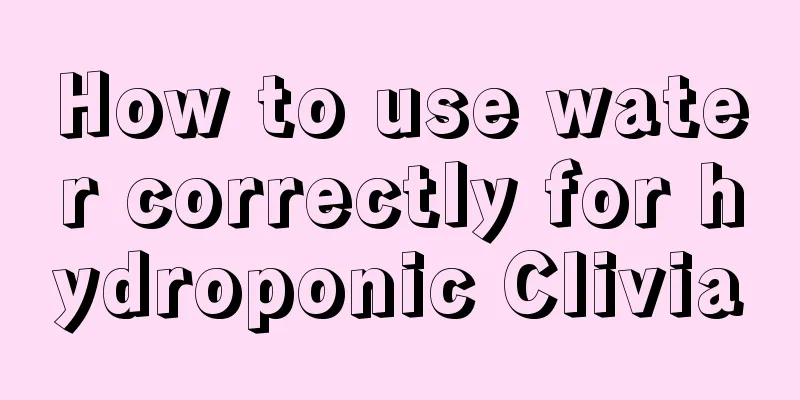 How to use water correctly for hydroponic Clivia