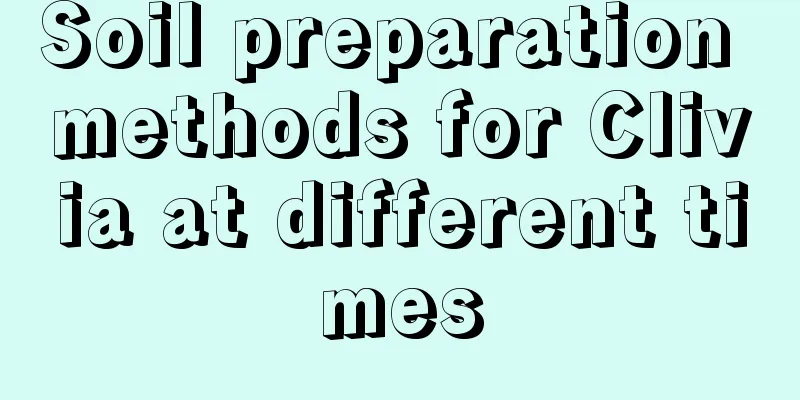 Soil preparation methods for Clivia at different times