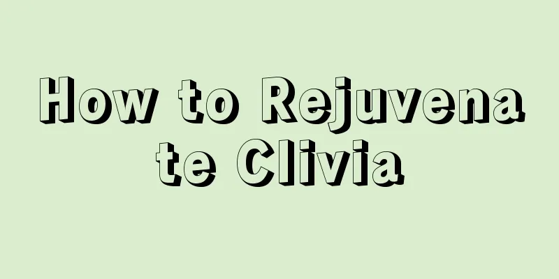 How to Rejuvenate Clivia