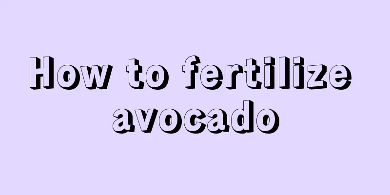 How to fertilize avocado