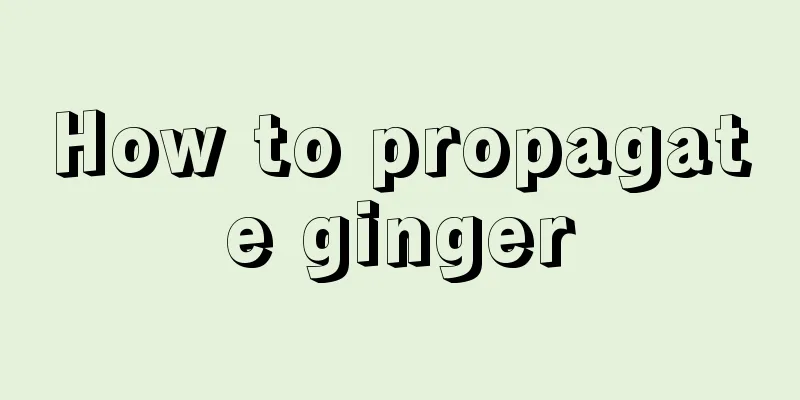 How to propagate ginger