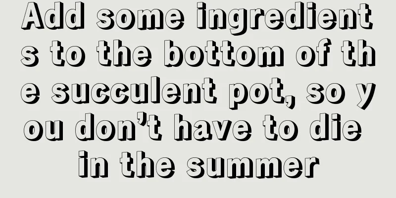 Add some ingredients to the bottom of the succulent pot, so you don’t have to die in the summer