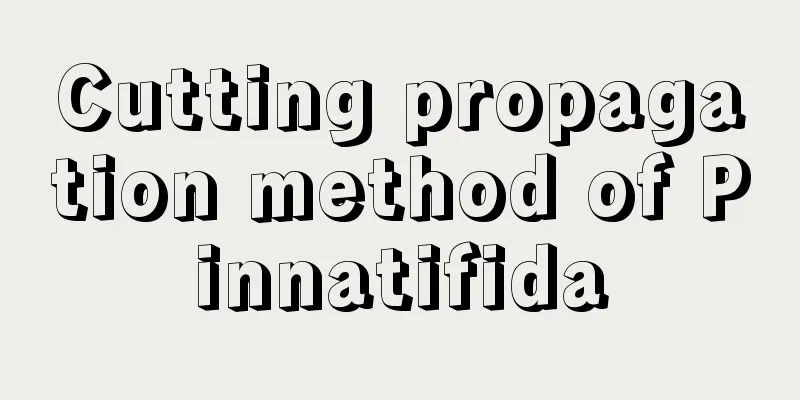 Cutting propagation method of Pinnatifida