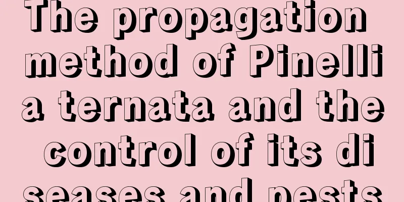 The propagation method of Pinellia ternata and the control of its diseases and pests