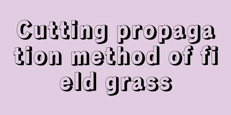 Cutting propagation method of field grass