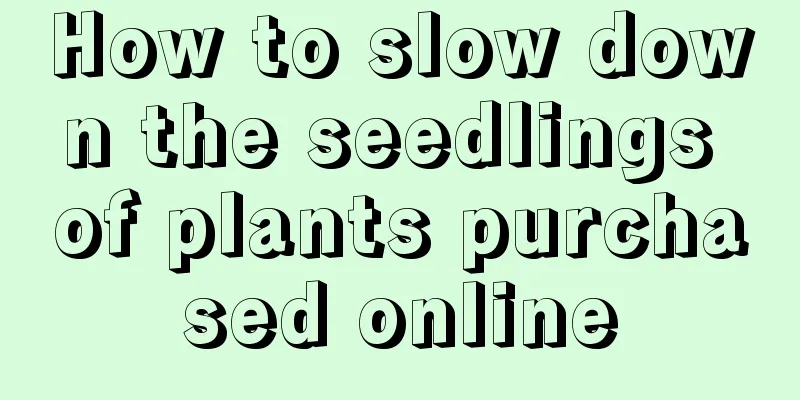 How to slow down the seedlings of plants purchased online