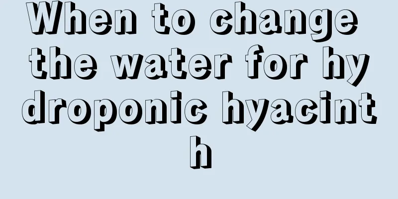 When to change the water for hydroponic hyacinth