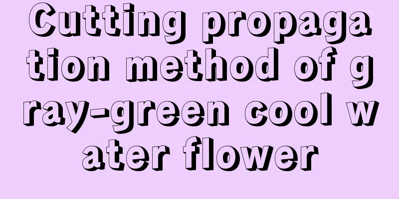 Cutting propagation method of gray-green cool water flower