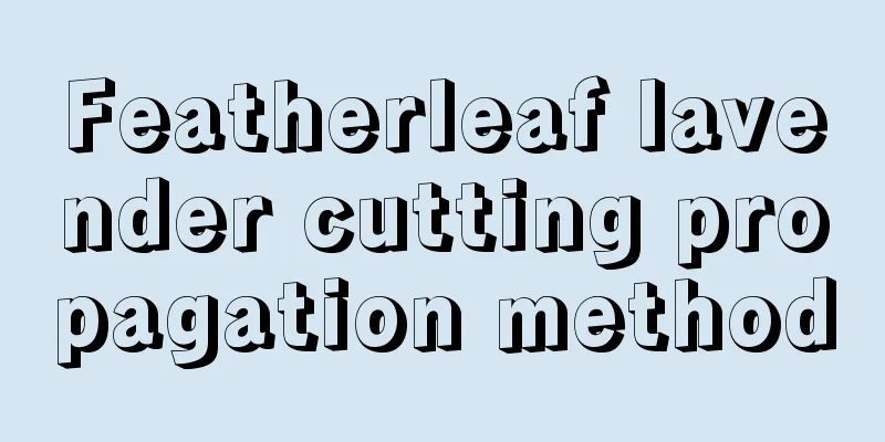 Featherleaf lavender cutting propagation method