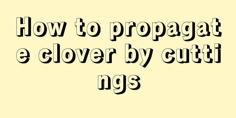 How to propagate clover by cuttings