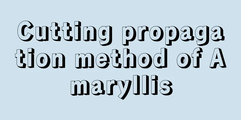 Cutting propagation method of Amaryllis