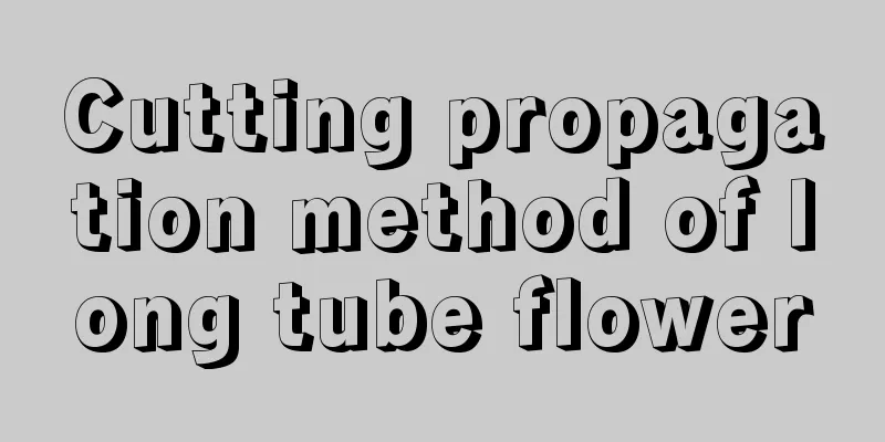 Cutting propagation method of long tube flower