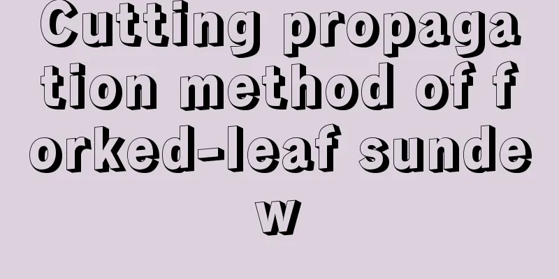 Cutting propagation method of forked-leaf sundew