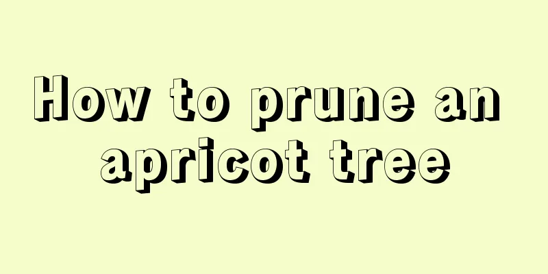 How to prune an apricot tree