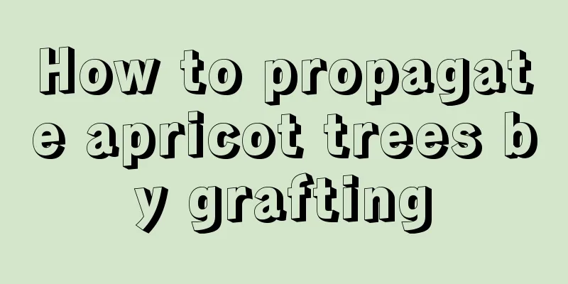 How to propagate apricot trees by grafting