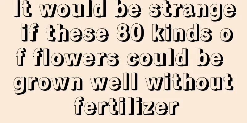 It would be strange if these 80 kinds of flowers could be grown well without fertilizer